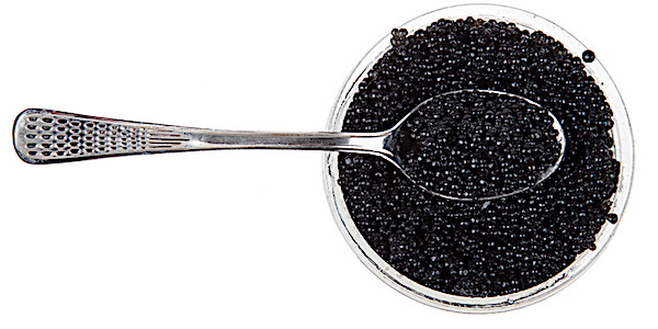 caviar esturgeon