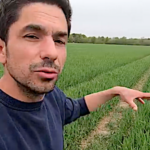 Que devient le champ d’orge qui avait brûlé l’année dernière ?