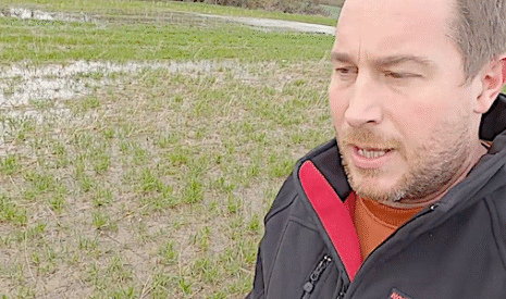 Les champs agricoles gorgés d’eau dans le Loiret