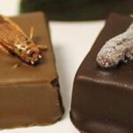 L’élevage d’insectes, ça vous tente ?
