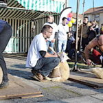 Téléthon, record battu pour les tondeurs de moutons à Bellac
