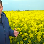 Colza 2021, tout savoir en deux vidéos