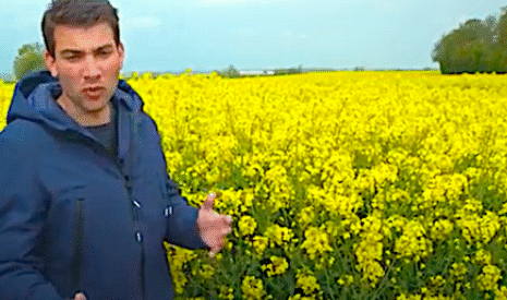 Colza 2021, tout savoir en deux vidéos