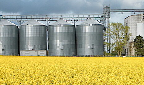 D’ici 2050, l’agriculture française peut tripler sa production d’énergies renouvelables