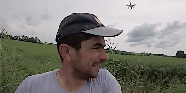colza drone sangliers