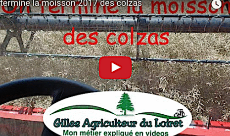 On termine la moisson des colzas