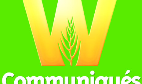 Foire de Châlons-en-Champagne, le pari du végétal