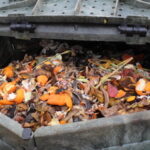 Lutte contre le gaspillage alimentaire, tour d’horizon des initiatives