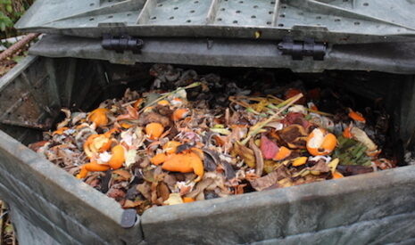 Lutte contre le gaspillage alimentaire, tour d’horizon des initiatives