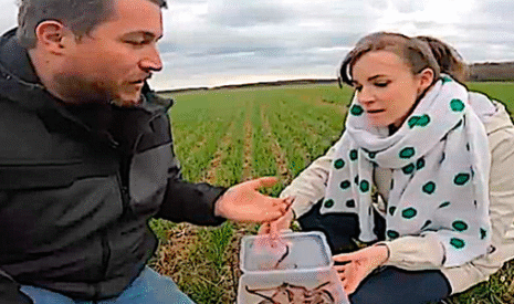 L’agriculture de conservation expliquée en deux vidéos