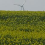 Dans « agroécologie », il y a « écologie », au sens politisé du terme