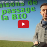 Les raisons de ma conversion en bio
