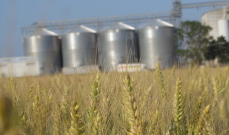 Sondage, les Français ont une bonne image des agriculteurs
