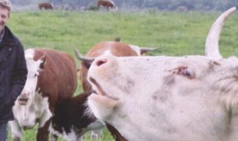 Politique agricole commune 2014, juin sera chaud !