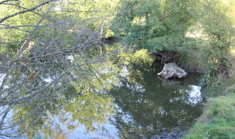 Cours d’eau et fossés, les agriculteurs doivent s’approprier le droit de l’environnement