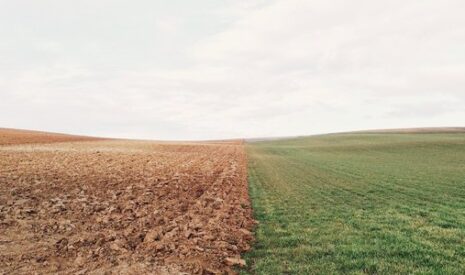 Quels sont les bénéfices d’une couverture permanentes des sols ?