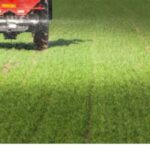 Optimiser sa fertilisation P et K
