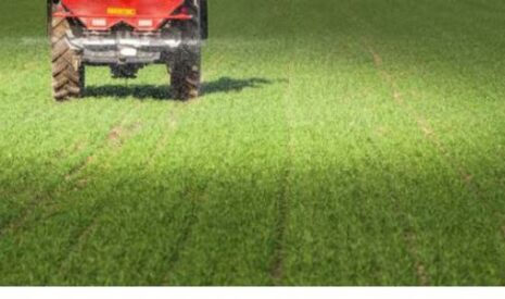 Optimiser sa fertilisation P et K
