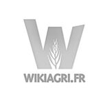 Blé dur, les besoins unitaires en azote par variété pour 2017