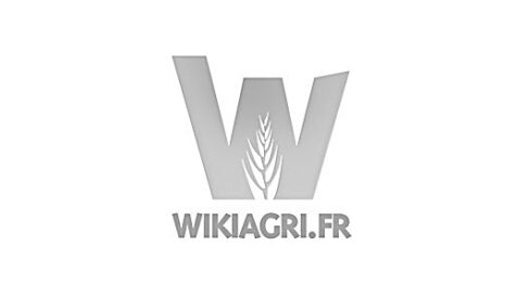 Le revenu agricole en forte réduction
