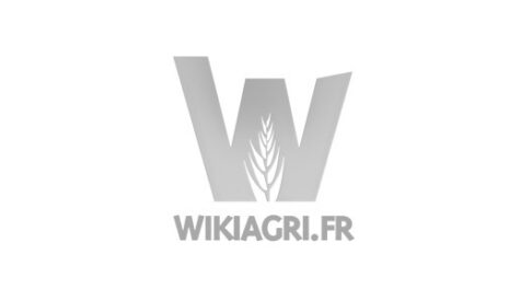 Début de campagne d&rsquo;irrigation des maïs