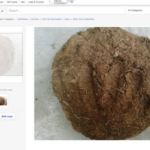 La bouse de vache vendue sur eBay, un débouché d’avenir ?