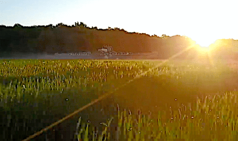 Crash du drone dans le champ de blé !
