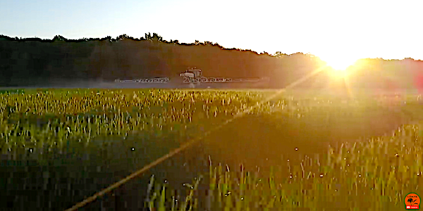 crash du drone dans le champ de bl
