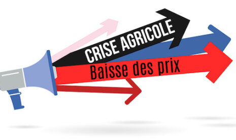 La crise agricole en France expliquée par les chiffres et les graphiques