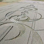 Insolite, des crop circles en Alsace