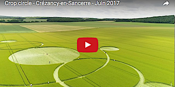 crop circle juin 2017 berry