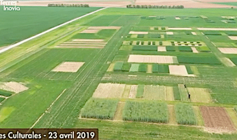 Culturales 2019, les lettres de noblesse de l’agronomie