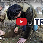 Cultiver puis récolter la truffe, tout savoir en deux vidéos