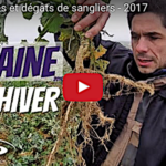 Orge, colza, féverole, tour de plaine en hiver