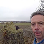 L’entretien des chevaux de mon écurie
