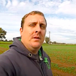Devinette, mais à quoi sert cette cuvette jaune insolite dans le champ agricole ?
