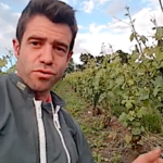 Début de campagne humide en Champagne