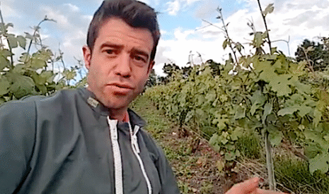 Début de campagne humide en Champagne