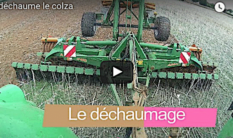 Le déchaumage du colza