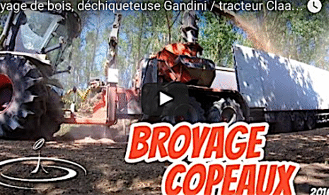 La déchiqueteuse à bois en action