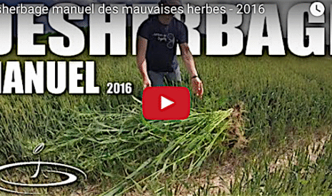 Désherbage manuel pour les mauvaises herbes