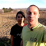 Le désherbage mécanique d’une vigne bio