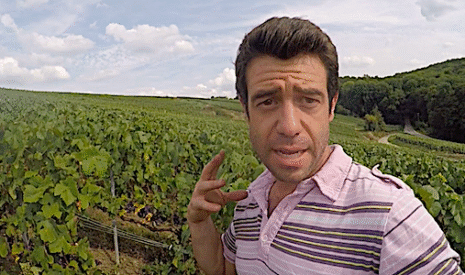 Comment décider de la date des vendanges pour le champagne ?