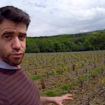 Quel est l’état des vignes après le gel en champagne ?
