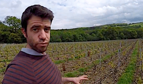 Quel est l’état des vignes après le gel en champagne ?