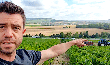 Vendanges en champagne en 17 jours et 30 vidéos