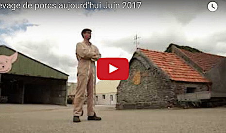 Etre éleveur de porcs en France en 2017