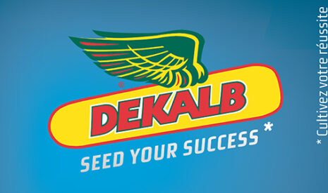 Semences, Dekalb à l’heure de l’outil multimedia