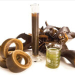 Les biostimulants, une solution d’avenir