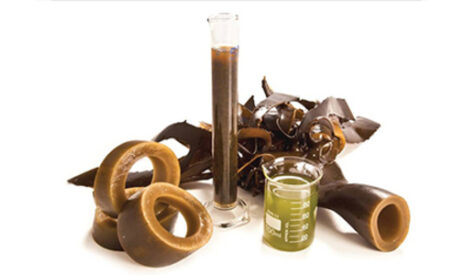 Les biostimulants, une solution d’avenir